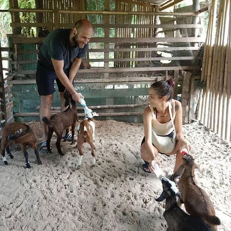 Yaoisland Resort And Farm Ko Yao Exterior foto