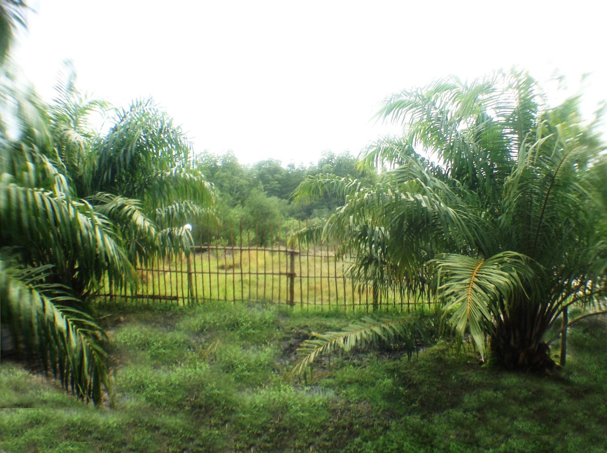 Yaoisland Resort And Farm Ko Yao Exterior foto